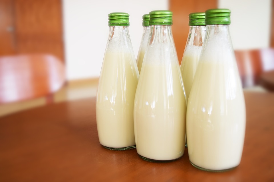 kefir benefits lactose intolerance